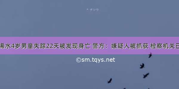 湖北浠水4岁男童失踪22天被发现身亡 警方：嫌疑人被抓获 检察机关已介入