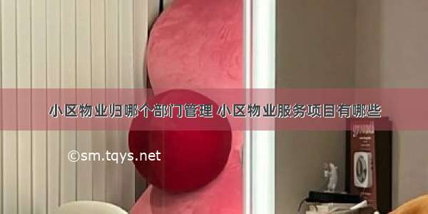 小区物业归哪个部门管理 小区物业服务项目有哪些