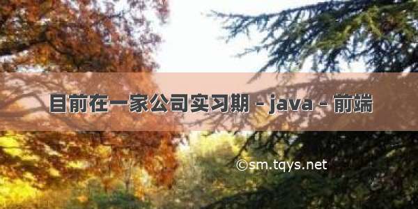 目前在一家公司实习期 – java – 前端