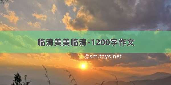 临清美美临清-1200字作文