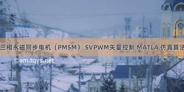 三相永磁同步电机（PMSM） SVPWM矢量控制 MATLA 仿真算法