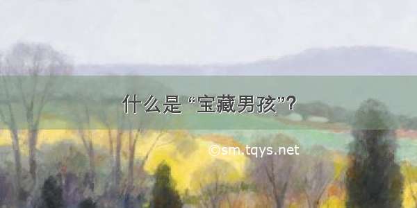 什么是 “宝藏男孩”？