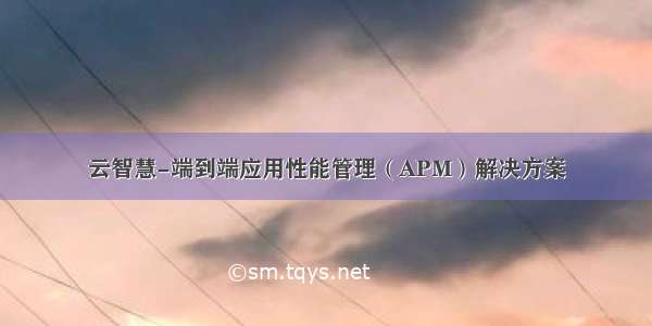 云智慧-端到端应用性能管理（APM）解决方案