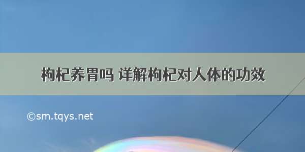 枸杞养胃吗 详解枸杞对人体的功效