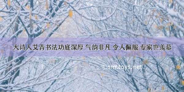 大诗人艾青书法功底深厚 气韵非凡 令人佩服 专家也羡慕