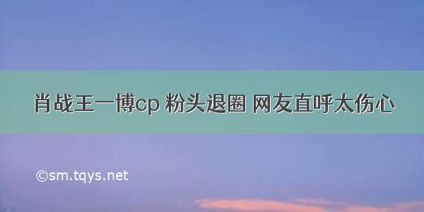 肖战王一博cp 粉头退圈 网友直呼太伤心