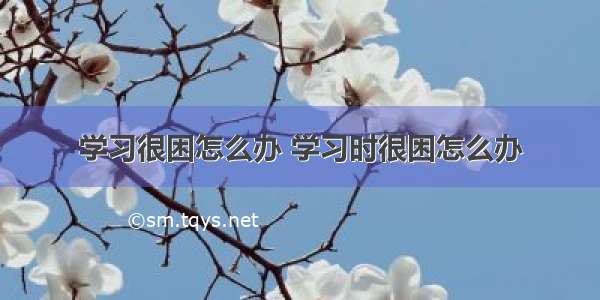 学习很困怎么办 学习时很困怎么办