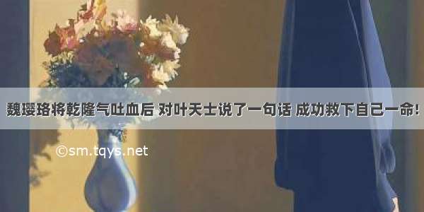 魏璎珞将乾隆气吐血后 对叶天士说了一句话 成功救下自己一命!