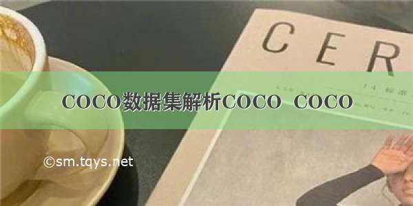 COCO数据集解析COCO  COCO