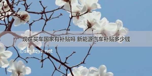 现在买车国家有补贴吗 新能源汽车补贴多少钱