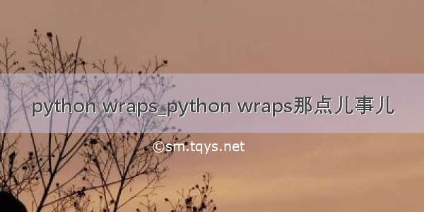 python wraps_python wraps那点儿事儿