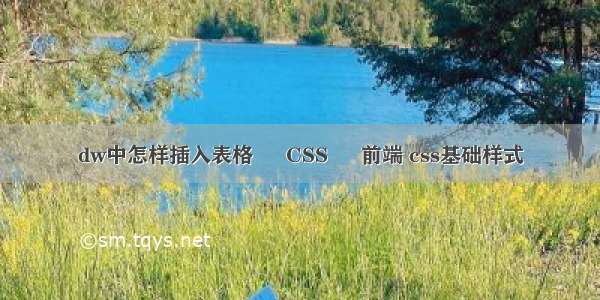 dw中怎样插入表格 – CSS – 前端 css基础样式