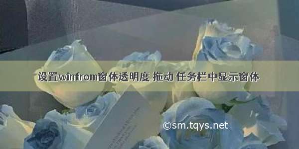 设置winfrom窗体透明度 拖动 任务栏中显示窗体