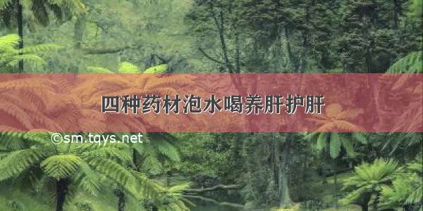 四种药材泡水喝养肝护肝