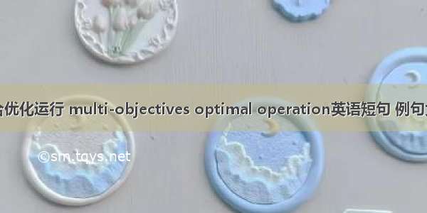 综合优化运行 multi-objectives optimal operation英语短句 例句大全