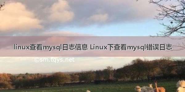 linux查看mysql日志信息 Linux下查看mysql错误日志