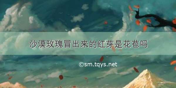 沙漠玫瑰冒出来的红芽是花苞吗