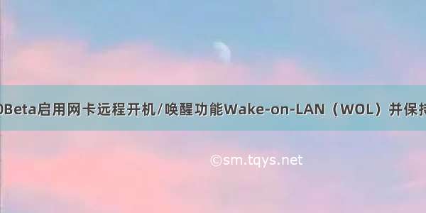 Deepin20Beta启用网卡远程开机/唤醒功能Wake-on-LAN（WOL）并保持开启状态