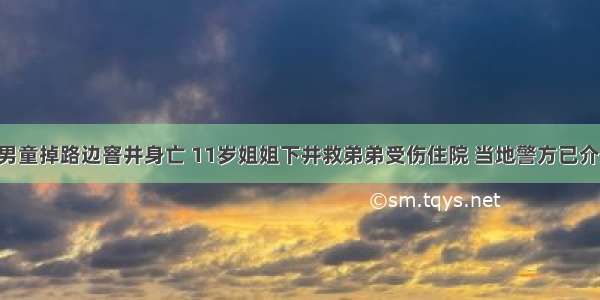 2岁多男童掉路边窨井身亡 11岁姐姐下井救弟弟受伤住院 当地警方已介入调查