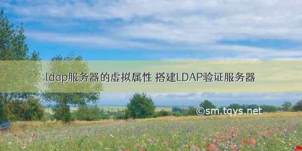 ldap服务器的虚拟属性 搭建LDAP验证服务器