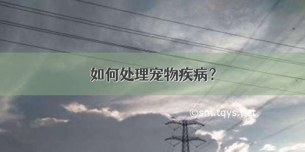 如何处理宠物疾病？