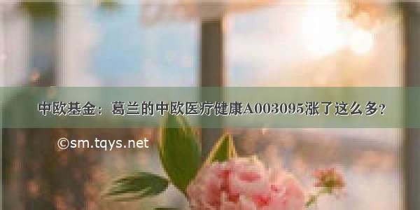 中欧基金：葛兰的中欧医疗健康A003095涨了这么多？