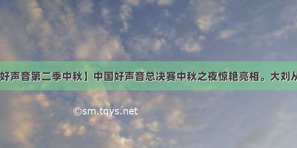 【中国好声音第二季中秋】中国好声音总决赛中秋之夜惊艳亮相。大刘从网上....