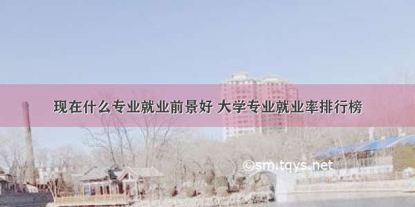 现在什么专业就业前景好 大学专业就业率排行榜