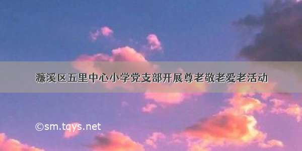 濂溪区五里中心小学党支部开展尊老敬老爱老活动