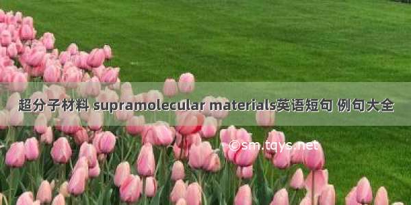 超分子材料 supramolecular materials英语短句 例句大全