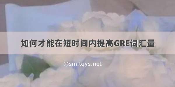 如何才能在短时间内提高GRE词汇量