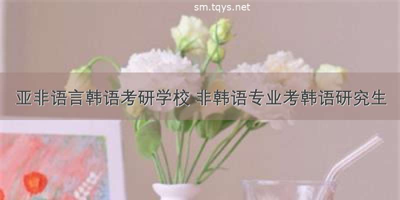 亚非语言韩语考研学校 非韩语专业考韩语研究生