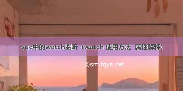 vue中的watch监听（watch 使用方法  属性解释）