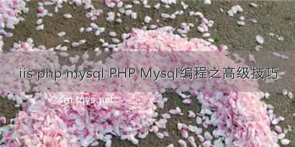 iis php mysql PHP Mysql编程之高级技巧