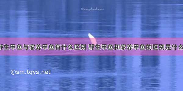 野生甲鱼与家养甲鱼有什么区别 野生甲鱼和家养甲鱼的区别是什么?