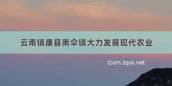 云南镇康县南伞镇大力发展现代农业