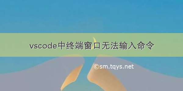 vscode中终端窗口无法输入命令