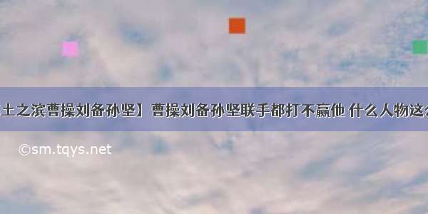 【率土之滨曹操刘备孙坚】曹操刘备孙坚联手都打不赢他 什么人物这么凶狠