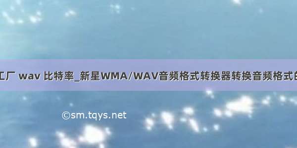 格式工厂 wav 比特率_新星WMA/WAV音频格式转换器转换音频格式的方法