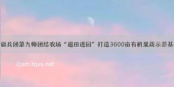 新疆兵团第九师团结农场“退田进园”打造3600亩有机果蔬示范基地