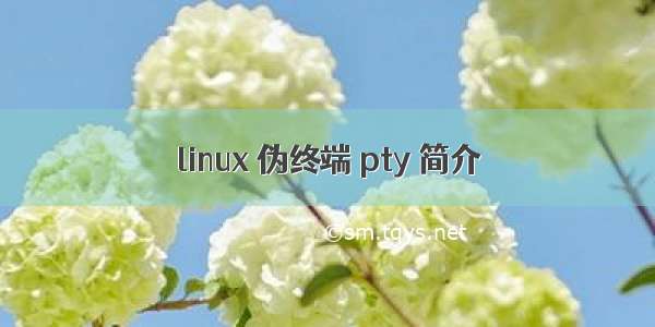 linux 伪终端 pty 简介