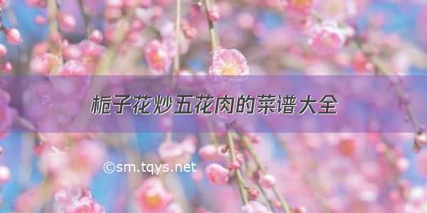 栀子花炒五花肉的菜谱大全