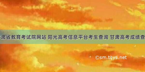 甘肃省教育考试院网站 阳光高考信息平台考生查询 甘肃高考成绩查询