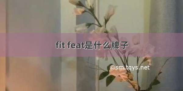 fit feat是什么牌子