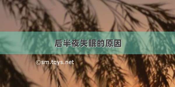 后半夜失眠的原因