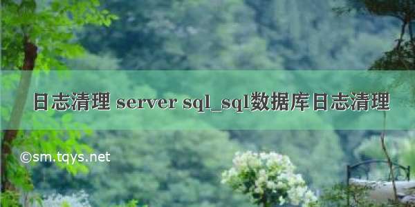 日志清理 server sql_sql数据库日志清理