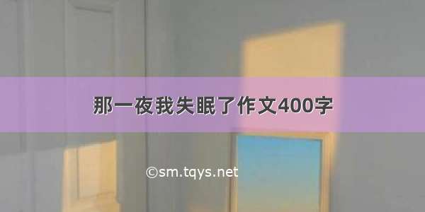 那一夜我失眠了作文400字