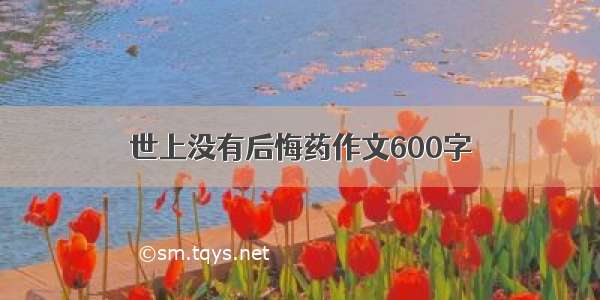 世上没有后悔药作文600字