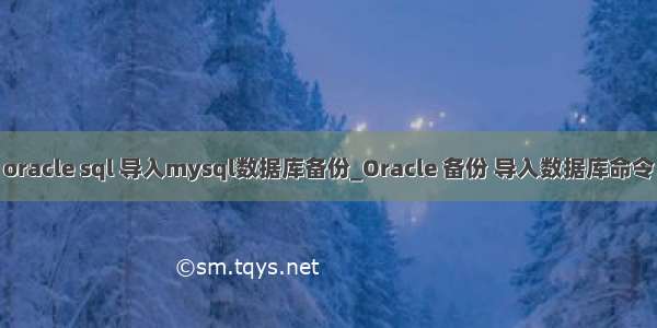 oracle sql 导入mysql数据库备份_Oracle 备份 导入数据库命令