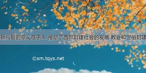 西欧城市重新兴起的意义在于A. 推动了西欧封建社会的发展 教会和世俗封建主势力得到